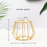 Iron Line Flower Vase