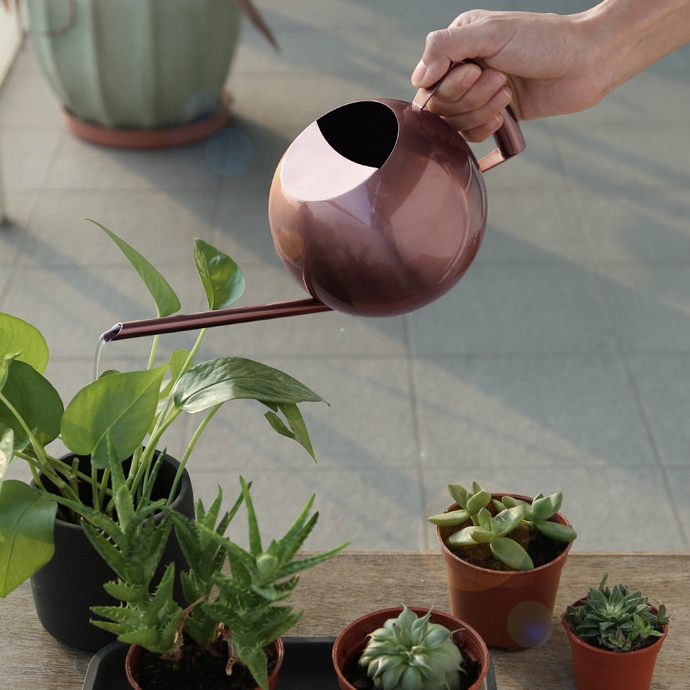 Stainless Steel Watering Pot