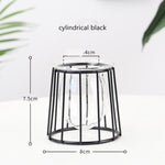 Iron Line Flower Vase