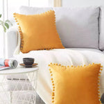 Velvet Cushion Cases (Set of 2)