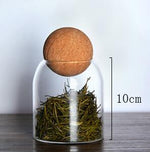 Cork Stopper Borosilicate Glass Jar